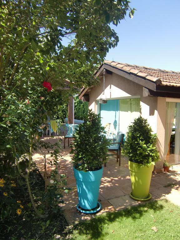 Bed & Breakfast La Des Violettes Toulouse