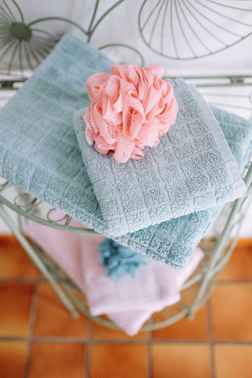 Bed & Breakfast La Des Violettes Toulouse