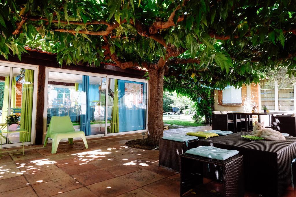 Bed & Breakfast La Des Violettes Toulouse