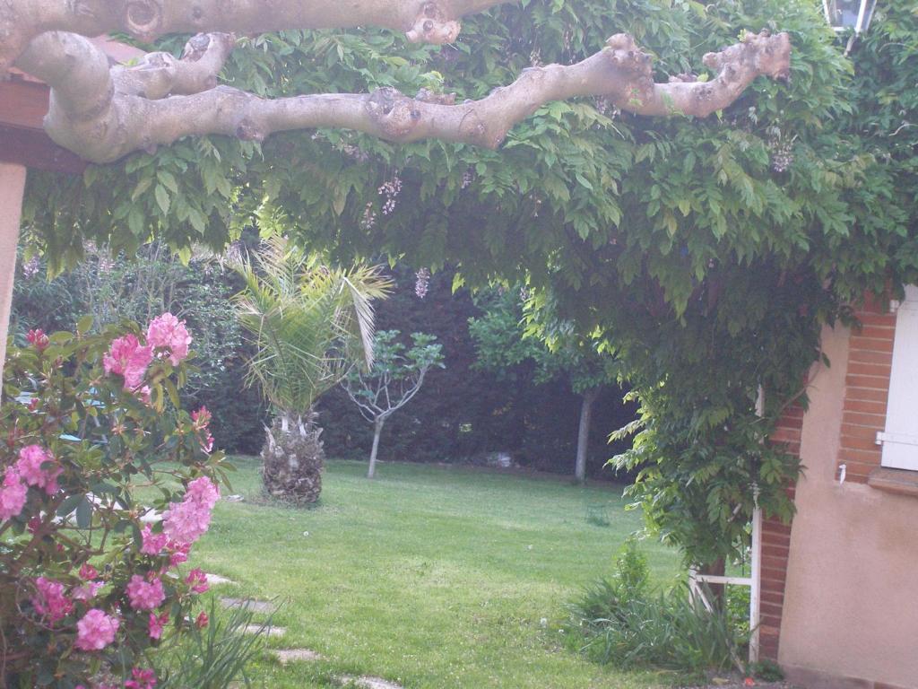 La Des Violettes Bed & Breakfast