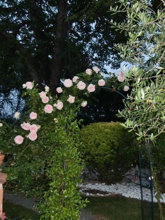 La Des Violettes Bed & Breakfast *