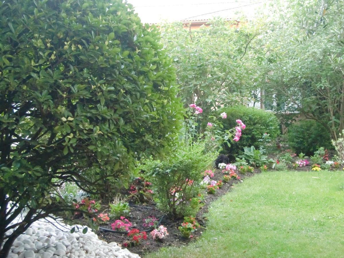 Bed & Breakfast La Des Violettes Toulouse